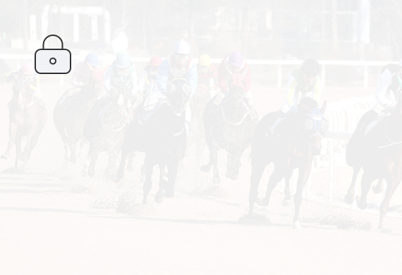 한국마사회 마필정보 시스템 리뉴얼